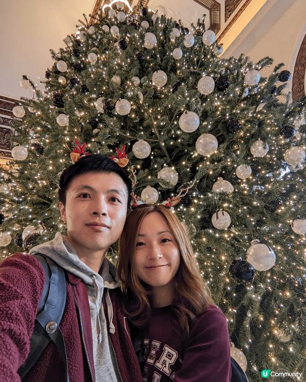 我襯聖誕時，到不同商場的聖誕裝飾打卡，最後一張更帶同我的貓貓...