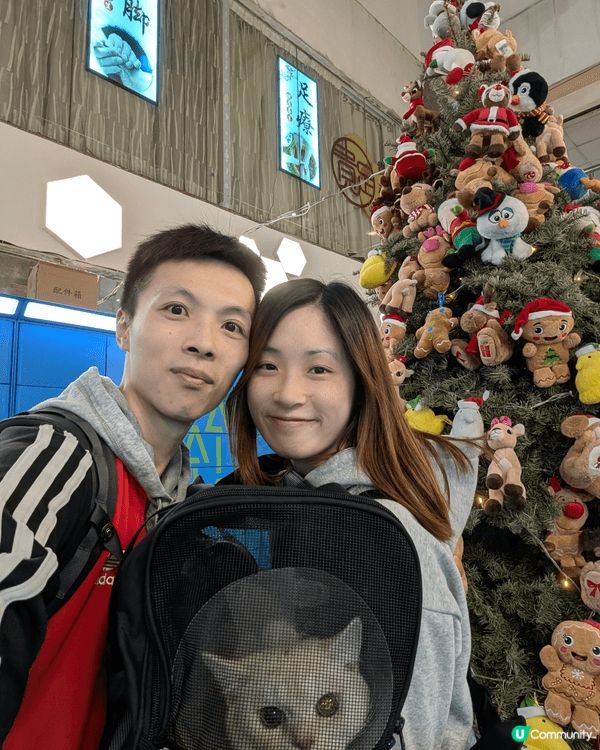 我襯聖誕時，到不同商場的聖誕裝飾打卡，最後一張更帶同我的貓貓...