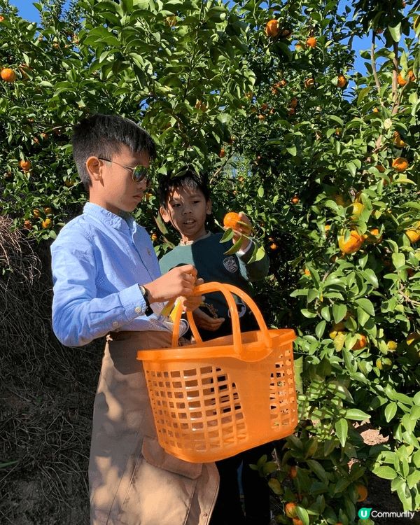聖誕節到了廈門摘桔，玩了卡丁車；