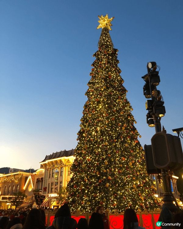 「好景會每日常在，天梯可只往上爬」，在囍帖街，我們迎來一年一...