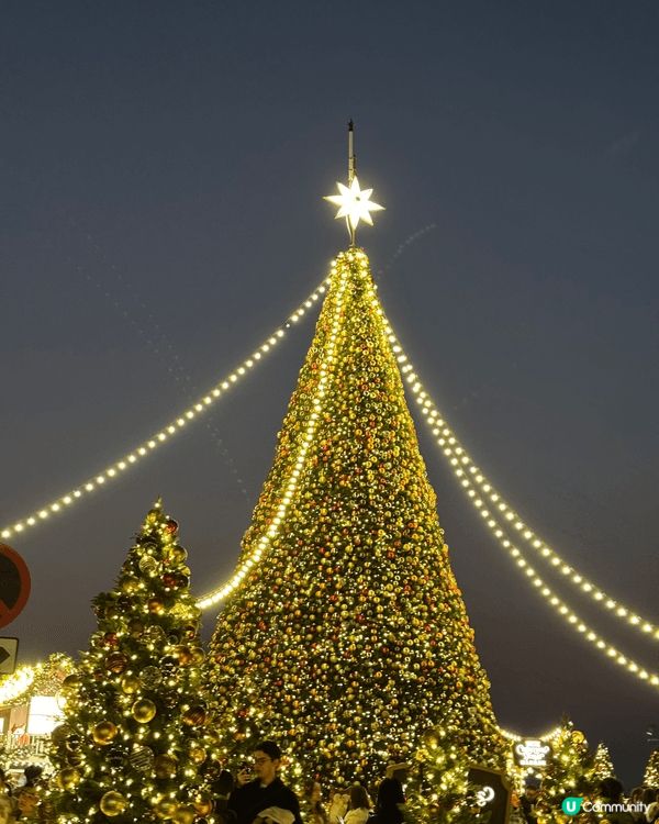 聖誕去左好多地方，有香港有大陸有澳門，影左唔少靚相