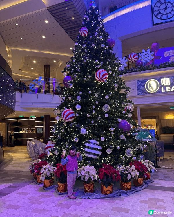 聖誕節突發上左royal caribbean 既海洋光譜號玩...