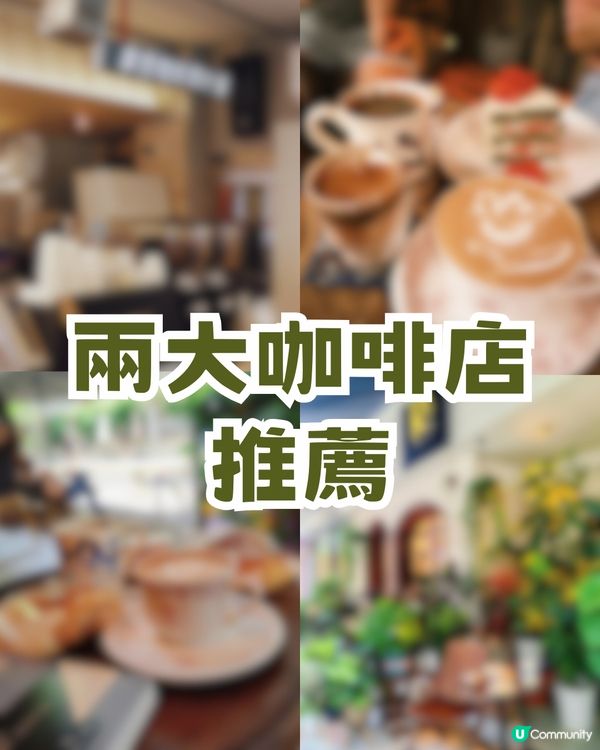 📍深圳福田超Chill 一日遊！五大療癒景點📍