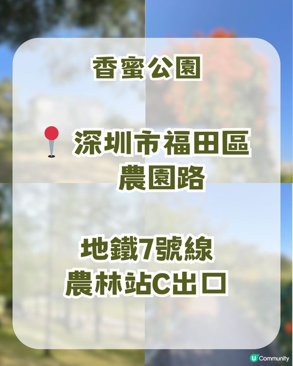 📍深圳福田超Chill 一日遊！五大療癒景點📍