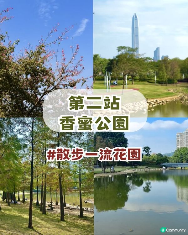 📍深圳福田超Chill 一日遊！五大療癒景點📍