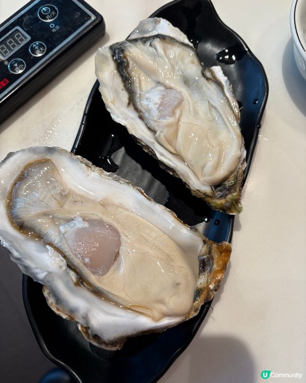 「煌記」豬肚雞煲🍲地膽推介，鮮味十足😍