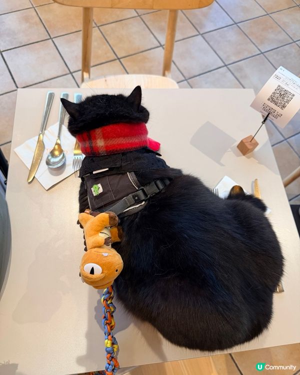 已習慣陪食😮‍💨