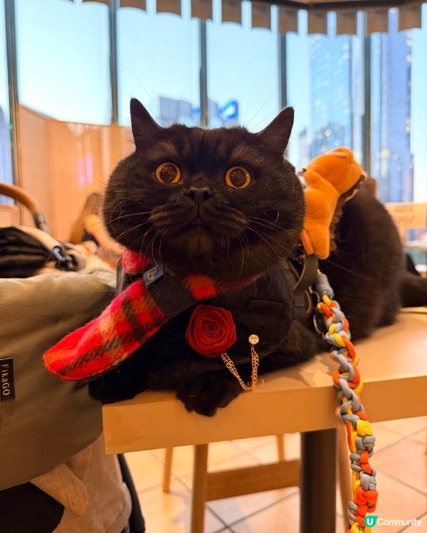 已習慣陪食😮‍💨