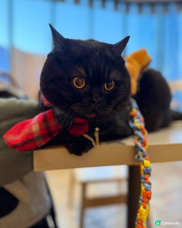 已習慣陪食😮‍💨