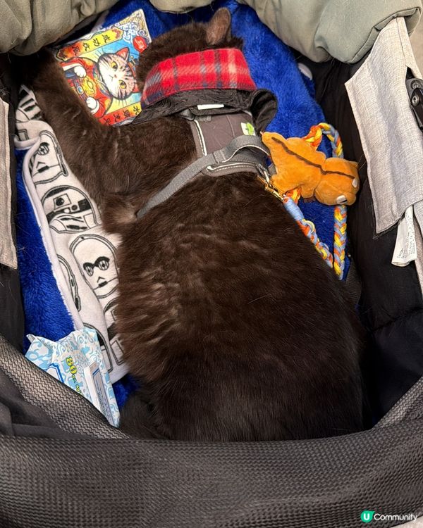 已習慣陪食😮‍💨