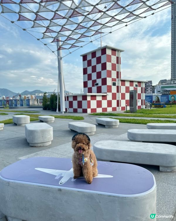 親子好去處，影相打卡一流