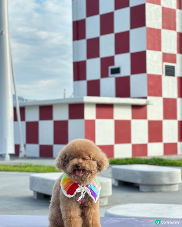 親子好去處，影相打卡一流