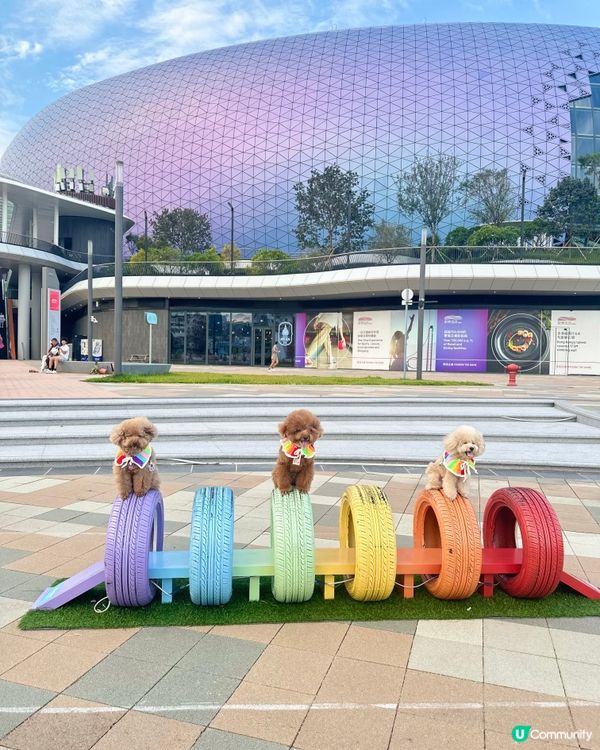 親子好去處，影相打卡一流