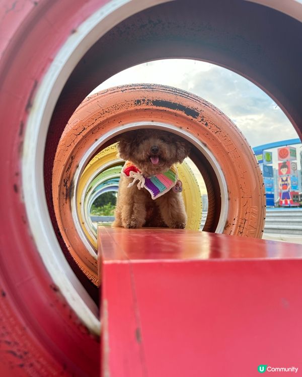 親子好去處，影相打卡一流