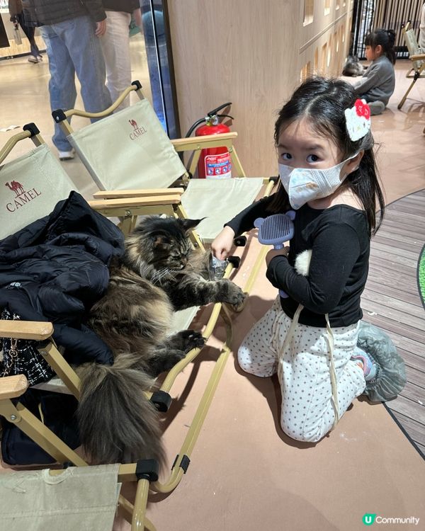 貓咪王國等你嚟！👑🐾