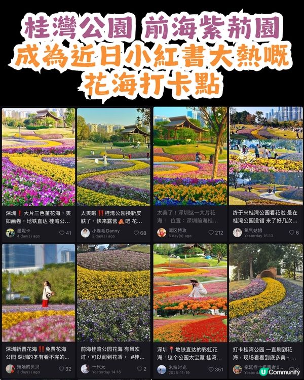 深圳南山區45萬m²公園4大特色🌸4.6萬m²三色堇花海/親子樂園/水廊道公園/小火車