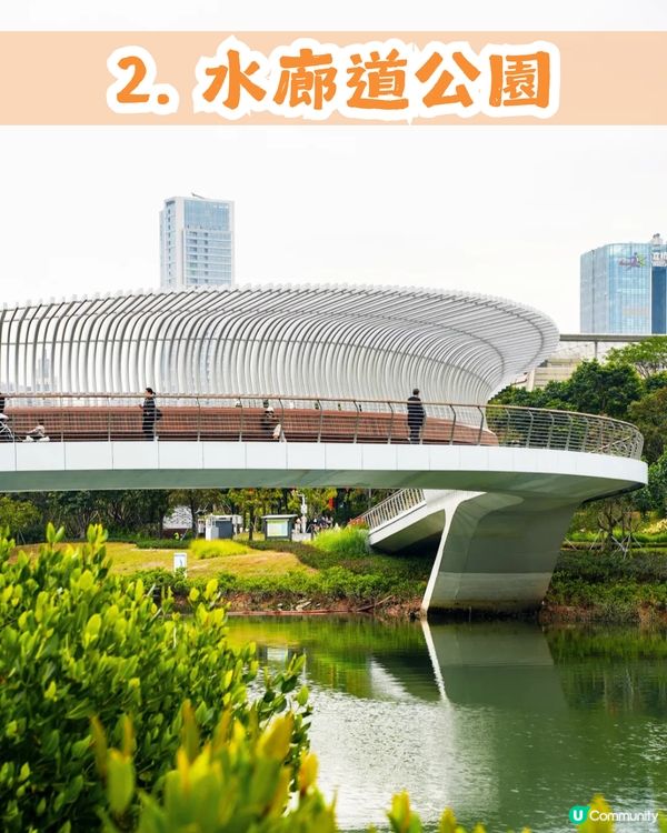 深圳南山區45萬m²公園4大特色🌸4.6萬m²三色堇花海/親子樂園/水廊道公園/小火車