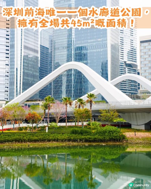深圳南山區45萬m²公園4大特色🌸4.6萬m²三色堇花海/親子樂園/水廊道公園/小火車