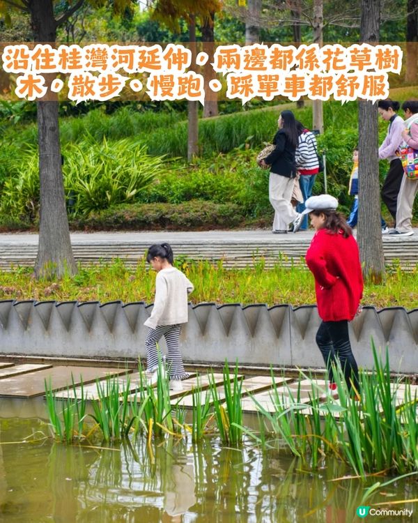 深圳南山區45萬m²公園4大特色🌸4.6萬m²三色堇花海/親子樂園/水廊道公園/小火車