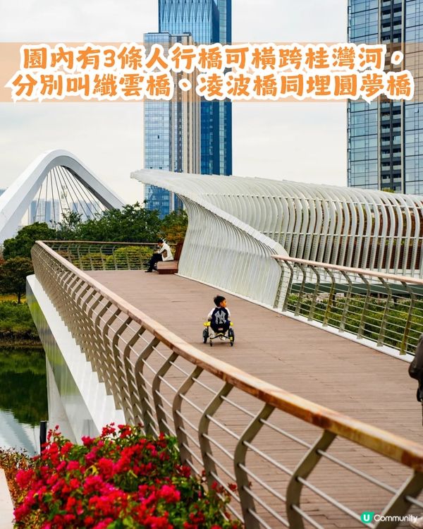 深圳南山區45萬m²公園4大特色🌸4.6萬m²三色堇花海/親子樂園/水廊道公園/小火車