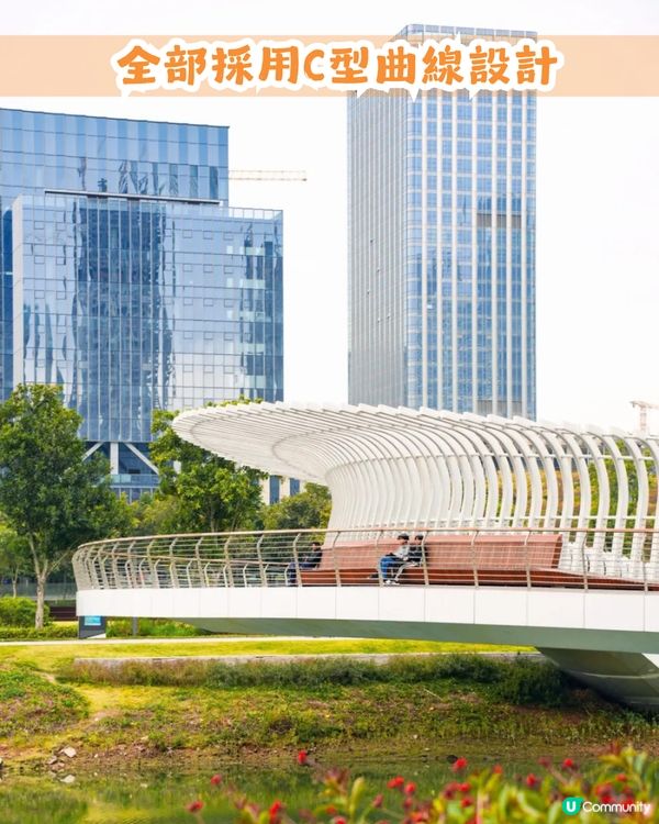 深圳南山區45萬m²公園4大特色🌸4.6萬m²三色堇花海/親子樂園/水廊道公園/小火車