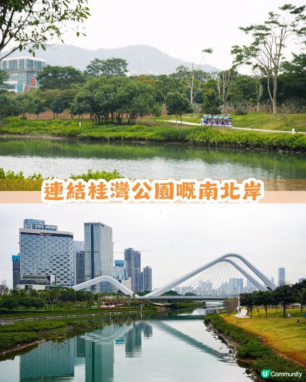 深圳南山區45萬m²公園4大特色🌸4.6萬m²三色堇花海/親子樂園/水廊道公園/小火車