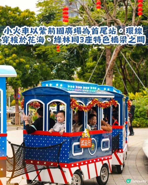 深圳南山區45萬m²公園4大特色🌸4.6萬m²三色堇花海/親子樂園/水廊道公園/小火車