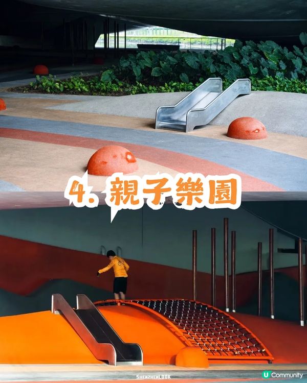 深圳南山區45萬m²公園4大特色🌸4.6萬m²三色堇花海/親子樂園/水廊道公園/小火車