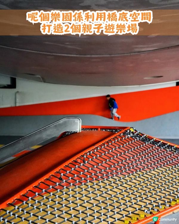 深圳南山區45萬m²公園4大特色🌸4.6萬m²三色堇花海/親子樂園/水廊道公園/小火車