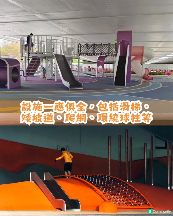 深圳南山區45萬m²公園4大特色🌸4.6萬m²三色堇花海/親子樂園/水廊道公園/小火車