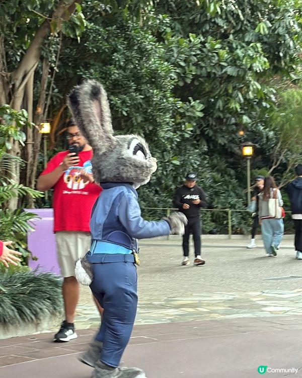 迪士尼迷必睇！全新Zootopia主題活動🎉