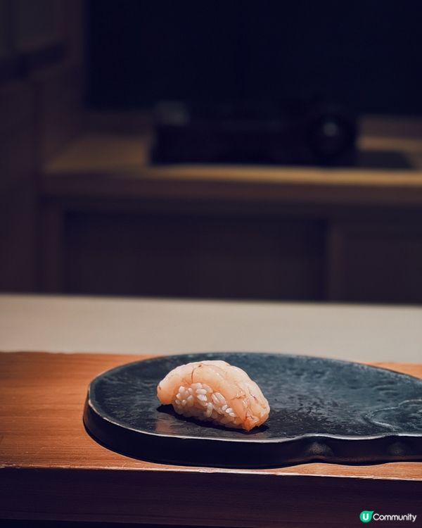 初魚朝聖！🍣 台北信義A9店必吃！😋