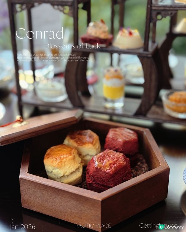 新年下午茶！太古廣場樂聚廊賀歲！🧧✨