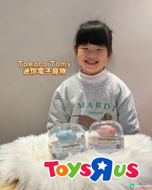 治癒系小夥伴返嚟啦！💖