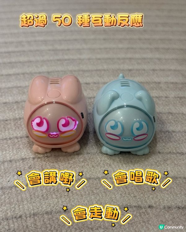 治癒系小夥伴返嚟啦！💖