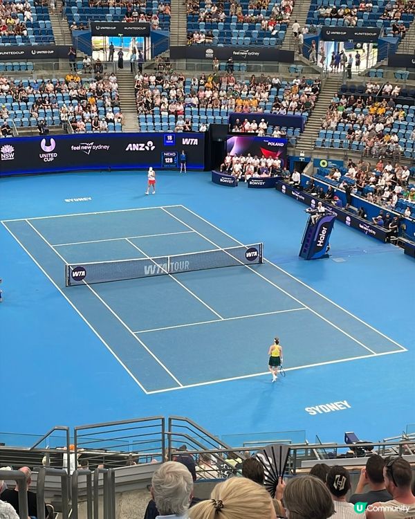 悉尼八強賽🔥現場震撼！