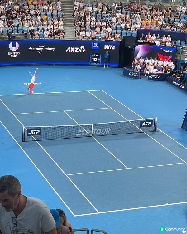 悉尼八強賽🔥現場震撼！