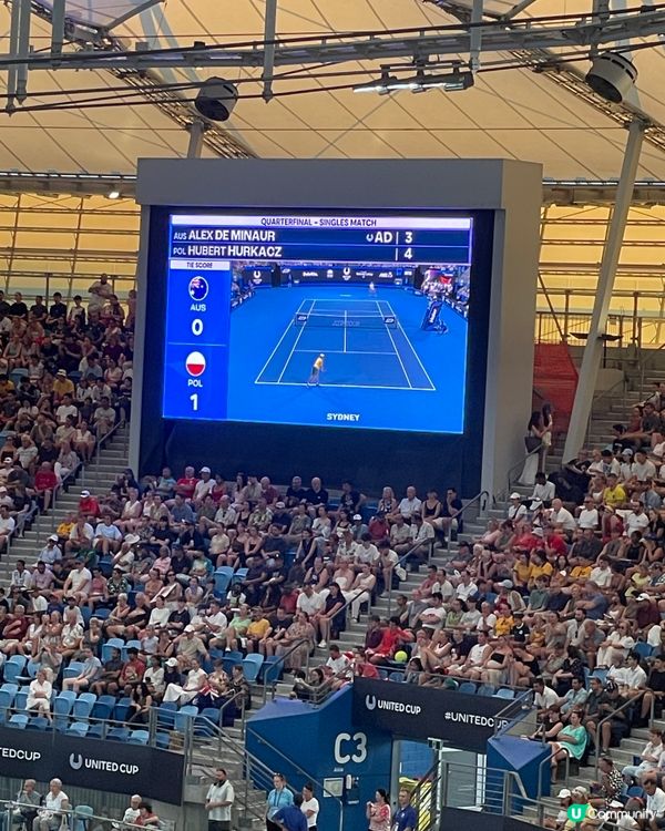 悉尼八強賽🔥現場震撼！