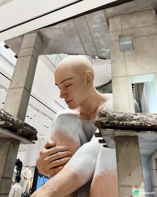 深圳巨人展打卡必去！ 🤩