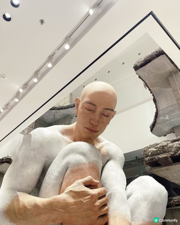 深圳巨人展打卡必去！ 🤩