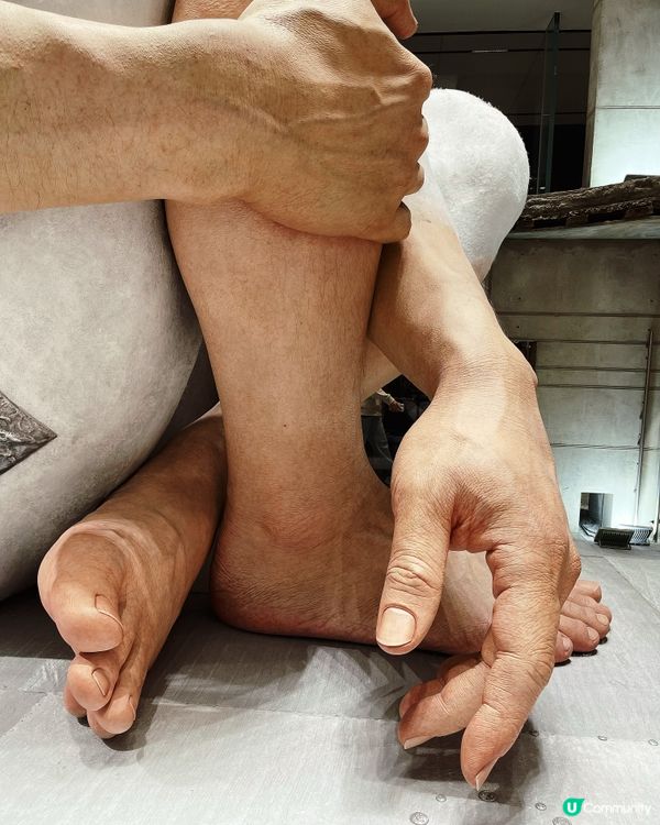 深圳巨人展打卡必去！ 🤩