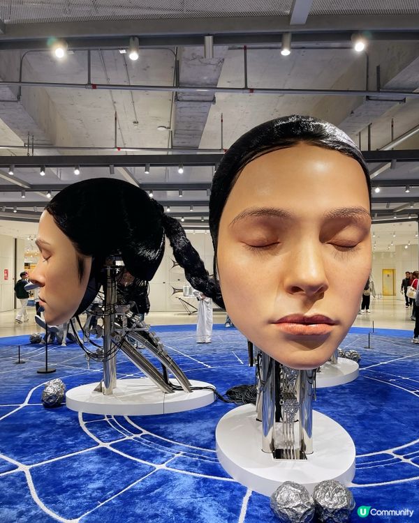 深圳巨人展打卡必去！ 🤩