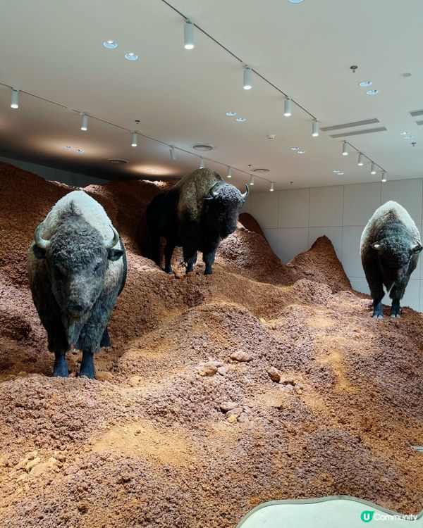 深圳巨人展打卡必去！ 🤩