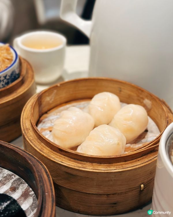 點心茶煲🤤寶林飯堂！