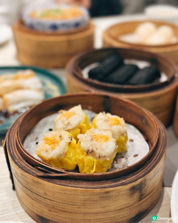 點心茶煲🤤寶林飯堂！