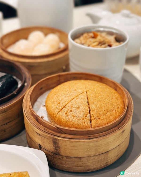 點心茶煲🤤寶林飯堂！