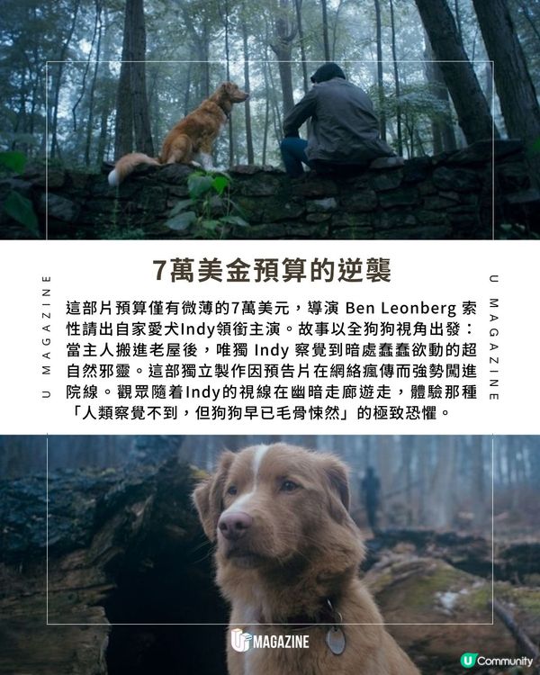 影史首位「汪星」影帝誕生！超低預算歷時3年零劇本擊敗一眾資深巨星