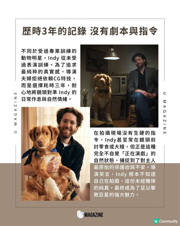 影史首位「汪星」影帝誕生！超低預算歷時3年零劇本擊敗一眾資深巨星