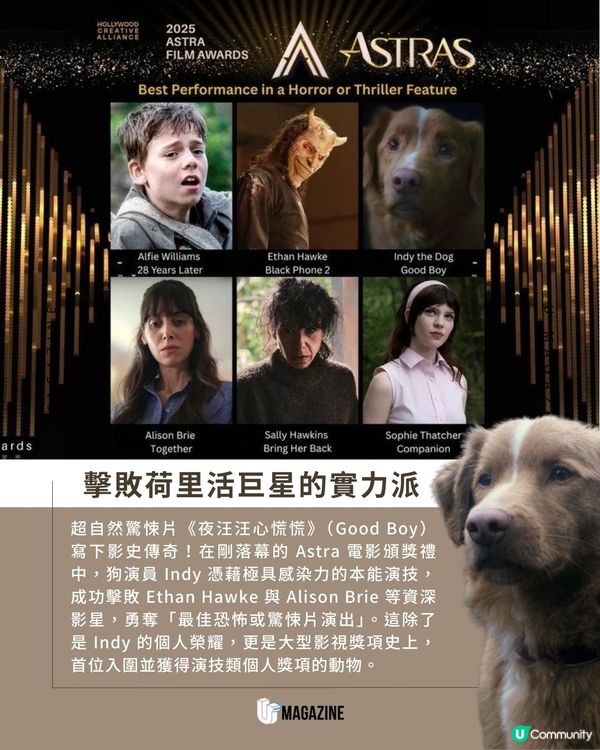 影史首位「汪星」影帝誕生！超低預算歷時3年零劇本擊敗一眾資深巨星