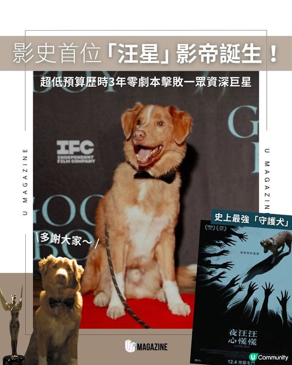 影史首位「汪星」影帝誕生！超低預算歷時3年零劇本擊敗一眾資深巨星